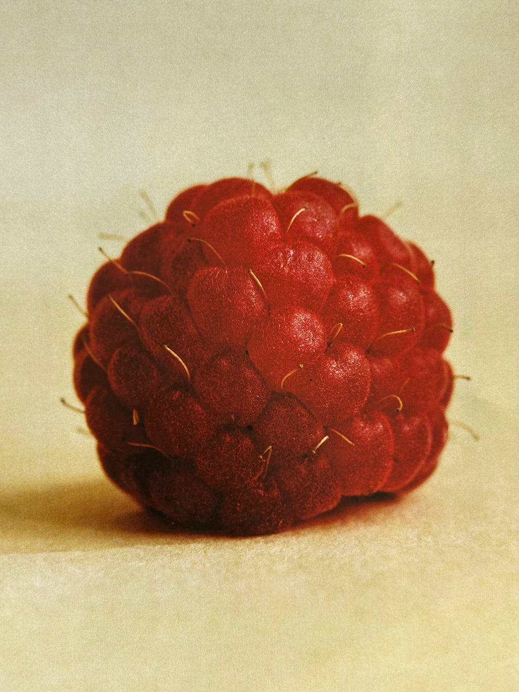 Raspberry Jam