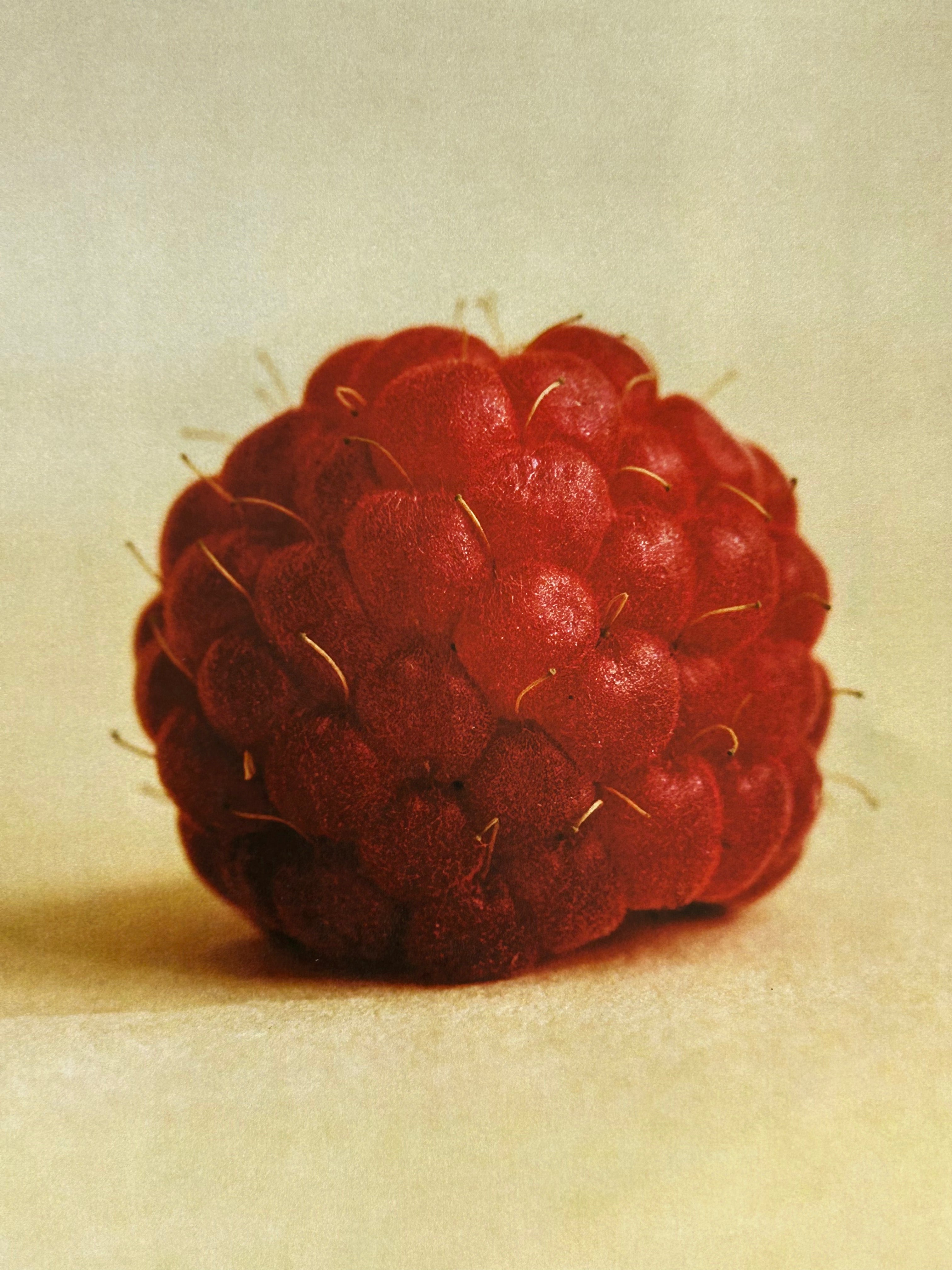 Raspberry Jam