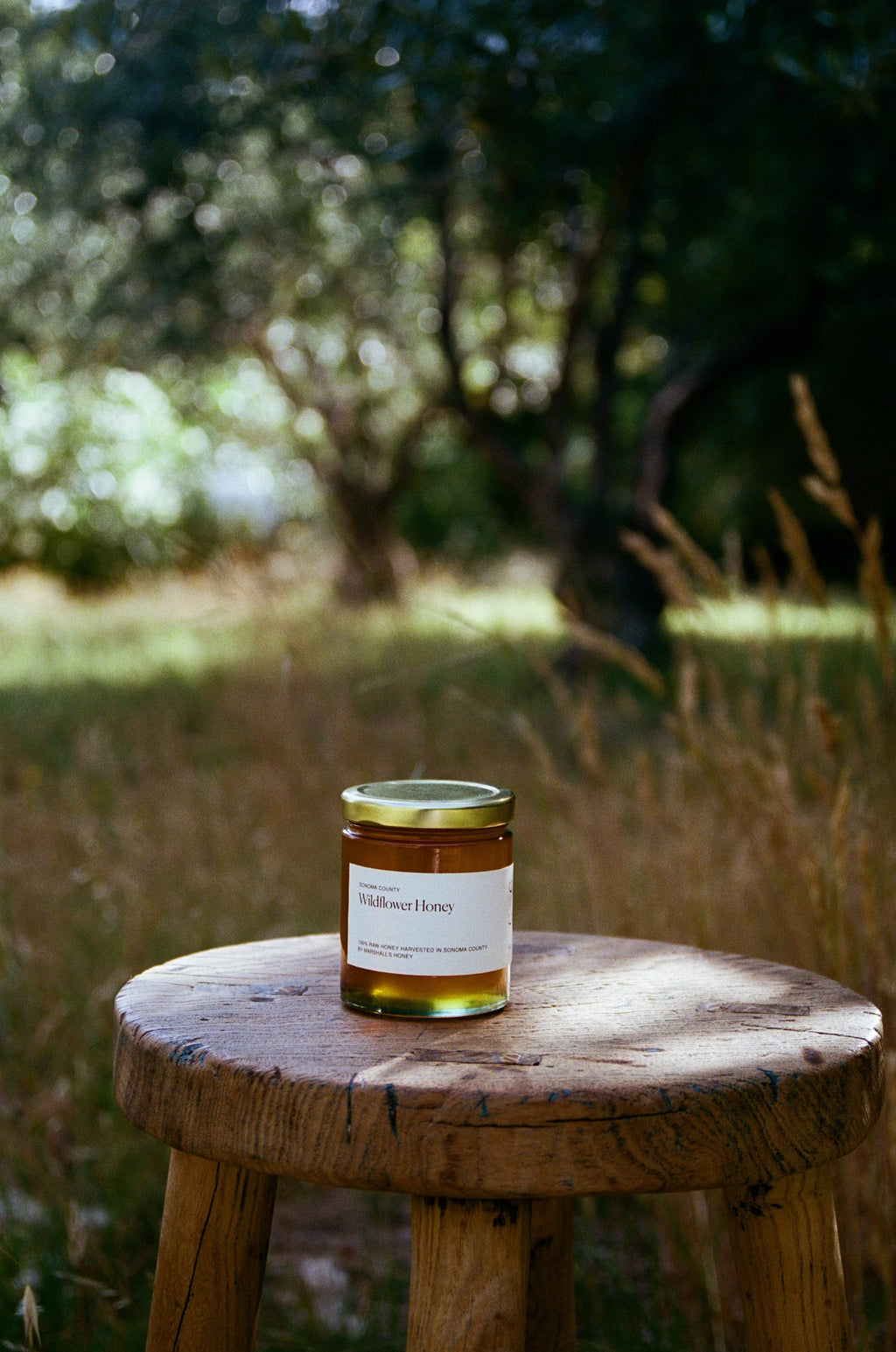 Sonoma Wildflower Honey